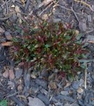 20120404-151925.jpg