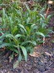 20120404-152058.jpg