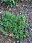20120404-153533.jpg